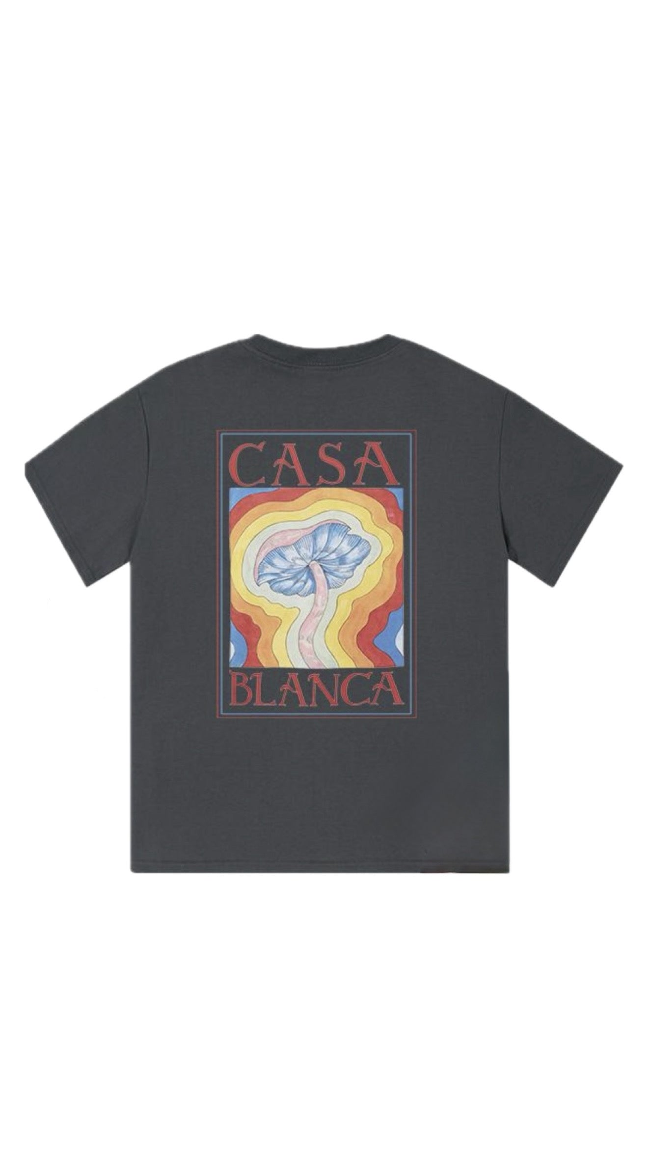 Camiseta Casa Blanca